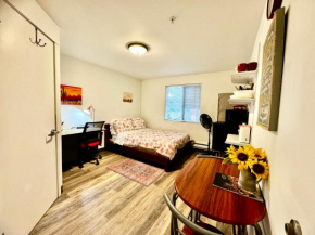 Apartment in University District- Micro Studio